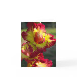 Gladiola Note Card