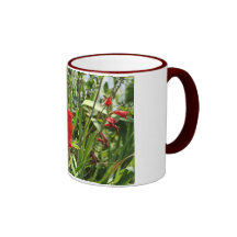 gladiolus mugs