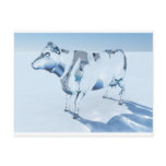 Glass Cow postcards