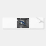 Glass Dolphin Bumper Stickers