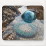 Glass float and anemone mousepads