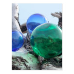 Glass Floats on Driftwood Postcards