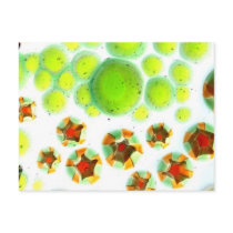 glass garden no. 7 postcards