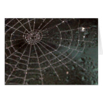 Glass Spider Web Greeting Cards