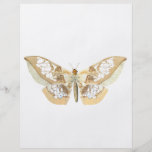 GlassWing Butterfly Flyer