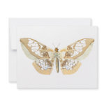 GlassWing Butterfly invitations