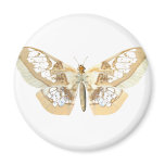 GlassWing Butterfly Magnets