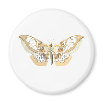 GlassWing Butterfly Magnets