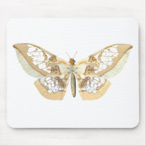 GlassWing Butterfly Mouse Pad