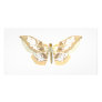 GlassWing Butterfly Custom Photo Card