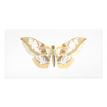 GlassWing Butterfly photo cards