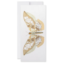GlassWing Butterfly Rack Card Template