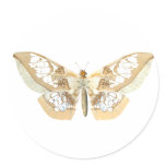 GlassWing Butterfly Stickers