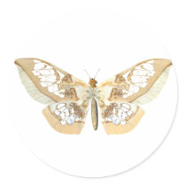 GlassWing Butterfly Stickers