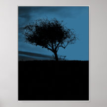 Glastonbury Hawthorn. Black and Blue. Tree. Posters