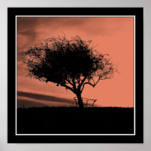 Glastonbury Hawthorn. Tree on Hill. Orange Black. Posters