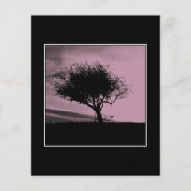 Glastonbury Hawthorn. Tree on Hill. Pink, Black. Flyer