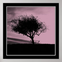 Glastonbury Hawthorn. Tree on Hill. Pink, Black. Posters