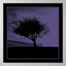 Glastonbury Hawthorn. Tree on Hill. Purple Black. Poster