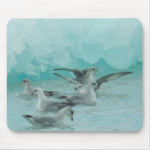 Glaucous gulls in Svalbard (Spitsbergen) Mousepad