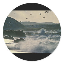 Glaucous-winged gulls at Cape Sarichef. Alaska Sticker