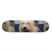 Glen of Imaal Terrier Skateboard