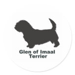 Glen of Imaal Terrier