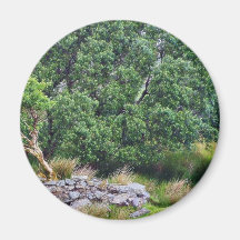 Glengesh Pass In Ireland Landscape Fridge Magnets