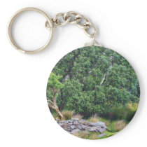 Glengesh Pass In Ireland Landscape Key Chains