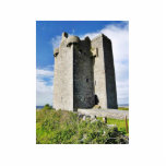 Gleninagh Castle On Hill photo sculptures