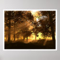 Glenwood posters