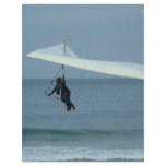 Gliding in Rio de Janeiro flyers