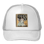 Glinda Of Oz Mesh Hat