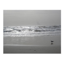 Glistening Waves Postcard