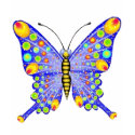 Glitter look butterfly t-shirts