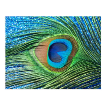Glittery Blue Peacock Feather Still Life Post Card