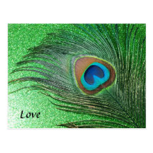 Glittery Green Peacock Feather Still Life Postcard