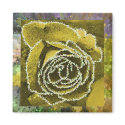 Glittery Yellow Rose magnets