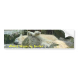Global Warming Sucks! Polar Bear Bumpersticker