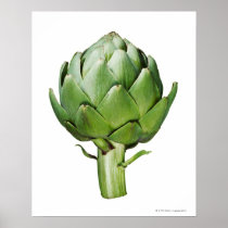 Globe Artichoke on White Background Cut Out Posters