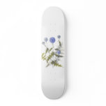 Globe Thistle Collection skateboards