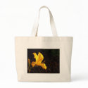 gloire de matin bags