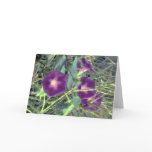 Glories cards