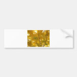Glorious Gingko Bumper Stickers