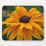 Glorious Yellow Daisy Mouse Pad