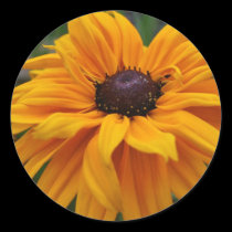 Glorious Yellow Daisy stickers