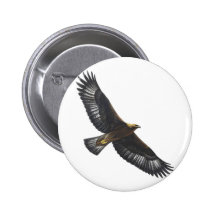 Glorius Golden Eagle Soaring Pinback Buttons