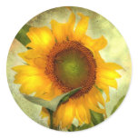 Glory stickers
