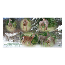 Glory to God... Photo Card Template