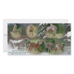 Glory to God... photo cards